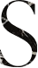S Logo